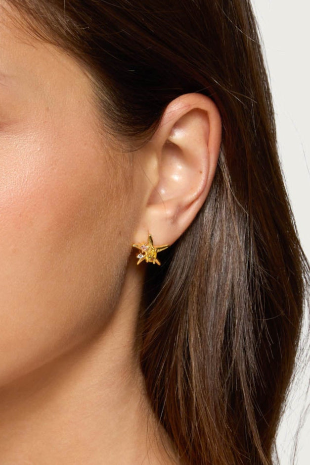 Sea Star Stud Earrings