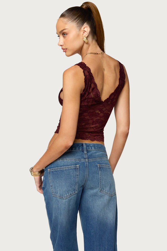 Vanya Sheer Lace V Neck Top - Plum