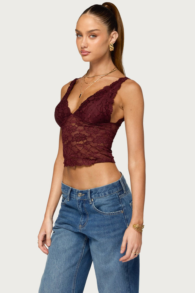 Vanya Sheer Lace V Neck Top - Plum